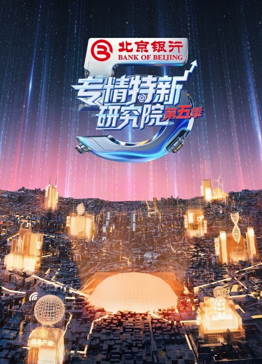 嫖娼代言人新晋探花酒店偷拍大胸少妇超清4K设备69舔穴姿势繁多激情四射 - 蝙蝠视频海报