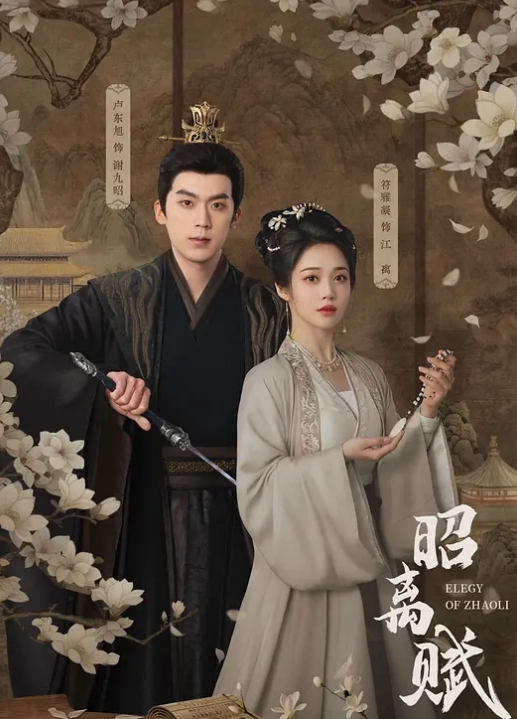 小小的不能处理巨大的白色鸡巴和面部 - 蝙蝠视频海报